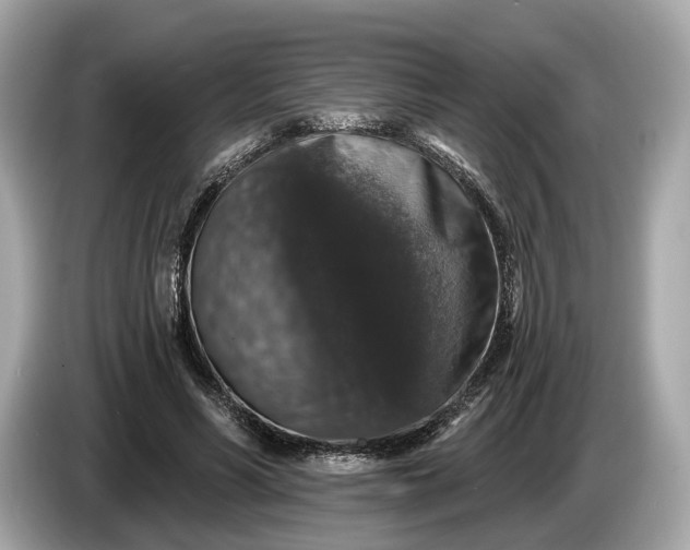 X0000085080590200703191326