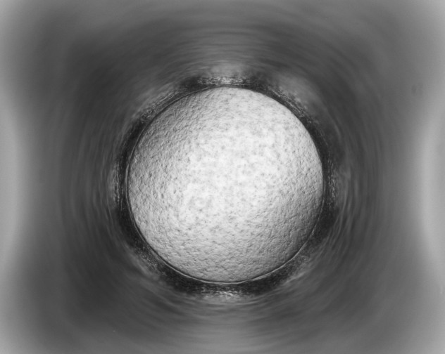 X0000085080594200703191326