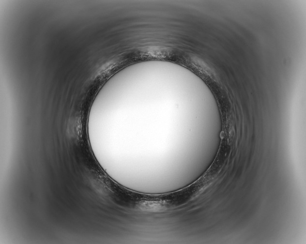 X0000085080595200703191326