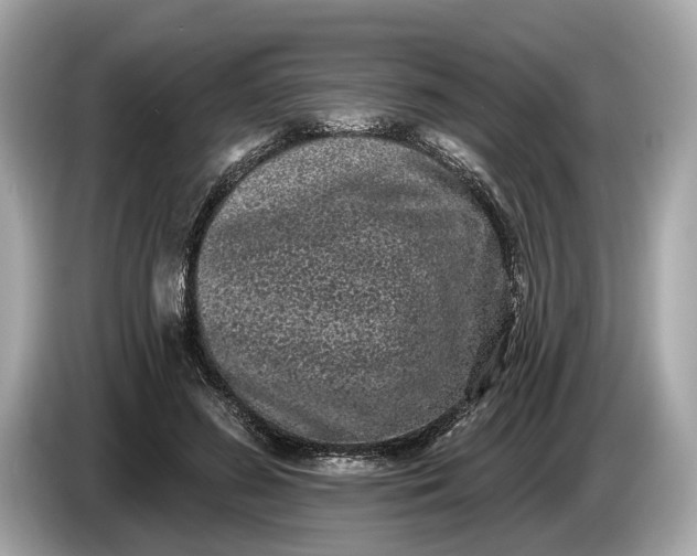 X0000085080596200703191326