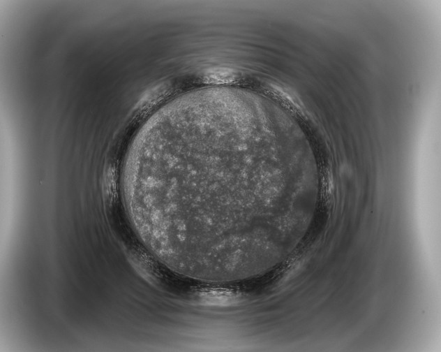 X0000085080598200703191326