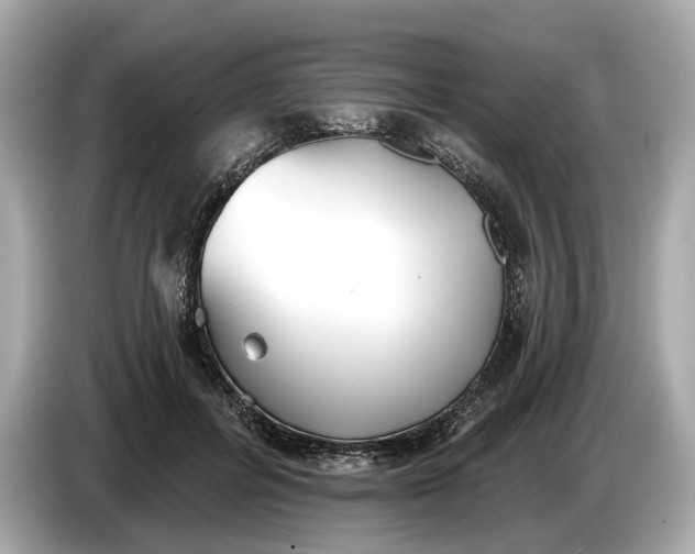 X0000085080600200703191326