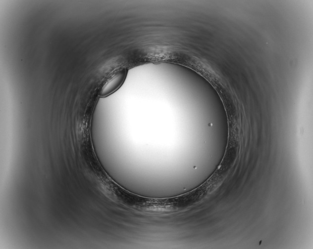 X0000085080601200703191326