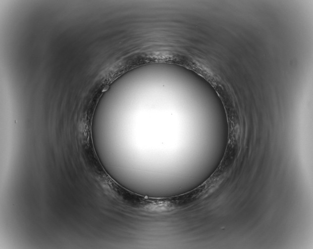 X0000085080609200703191326