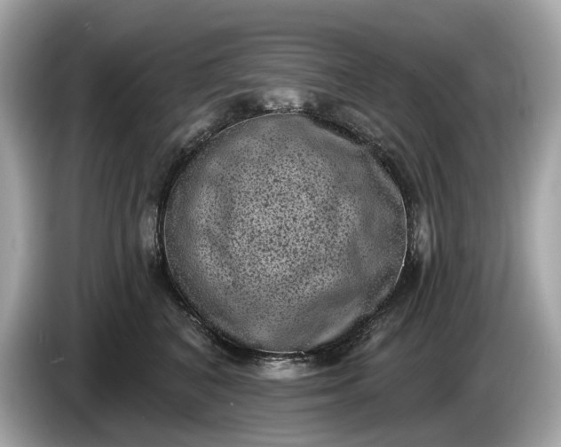 X0000085080616200703191326