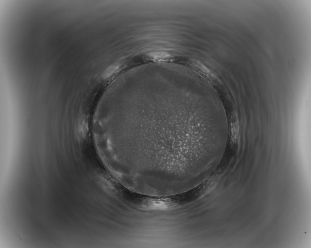 X0000085080618200703191326