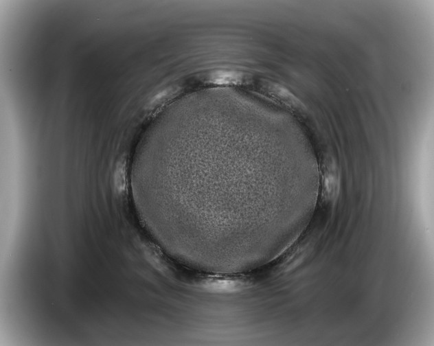 X0000085080620200703191326