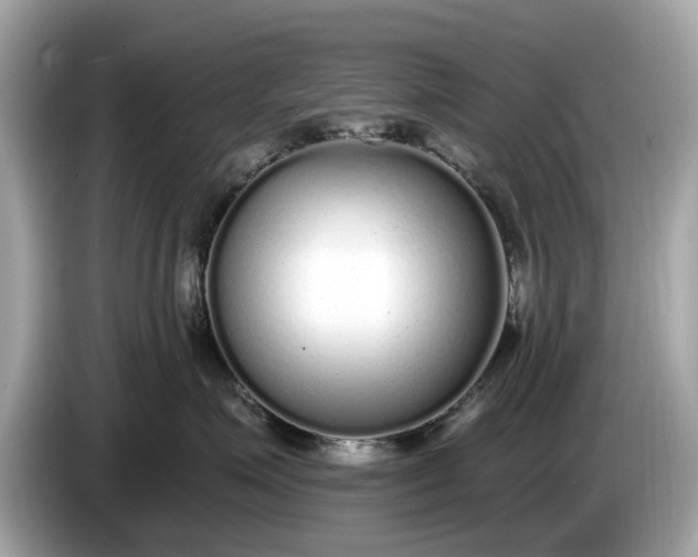 X0000085080623200703191326