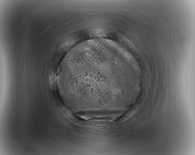 X0000085080624200703191326