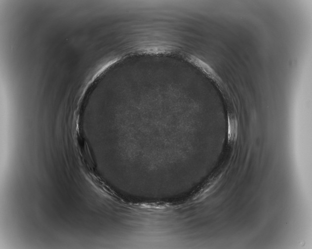 X0000085080627200703191325