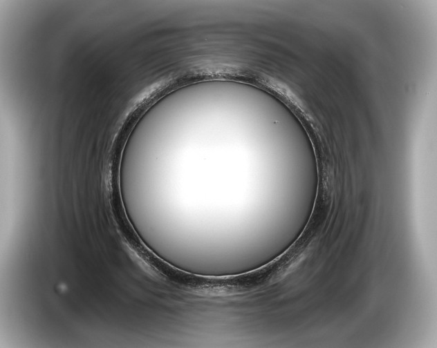 X0000085080629200703191325