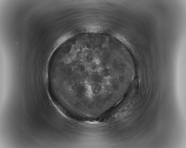 X0000085080630200703191325