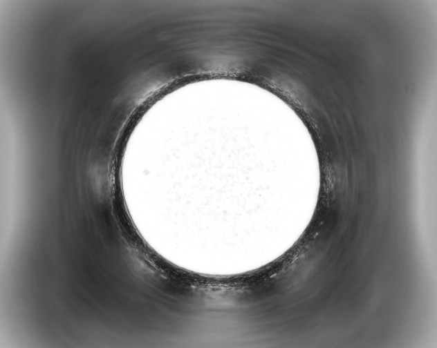 X0000085080632200703191325