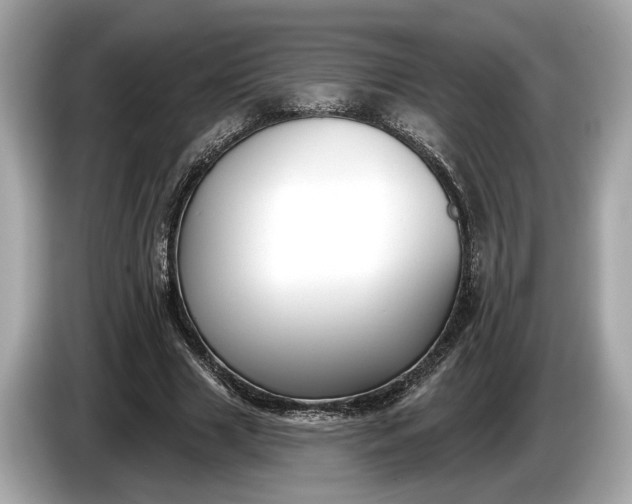 X0000085080633200703191325