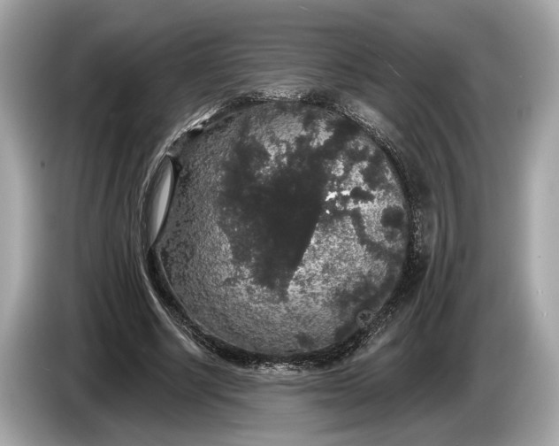 X0000085080634200703191325