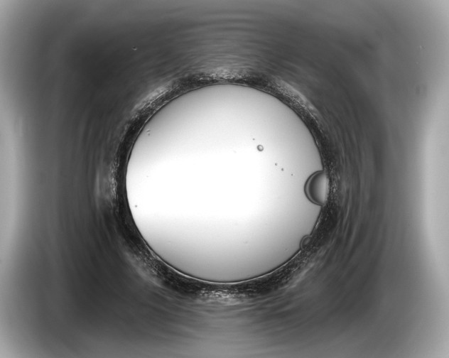 X0000085080635200703191325