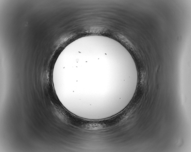 X0000085080636200703191325