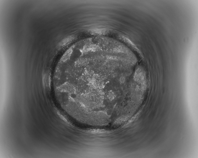 X0000085080637200703191325