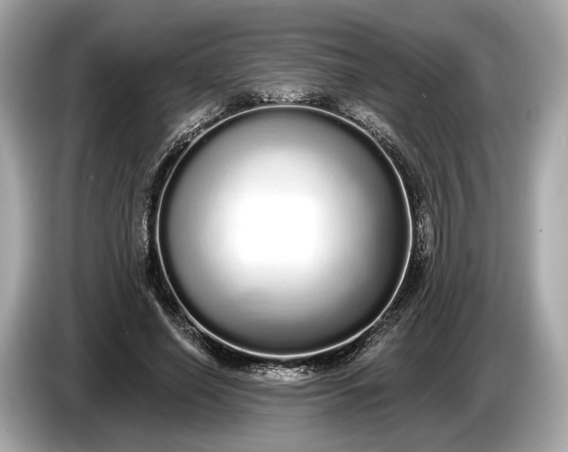 X0000085080638200703191325