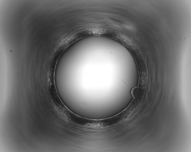 X0000085080639200703191325