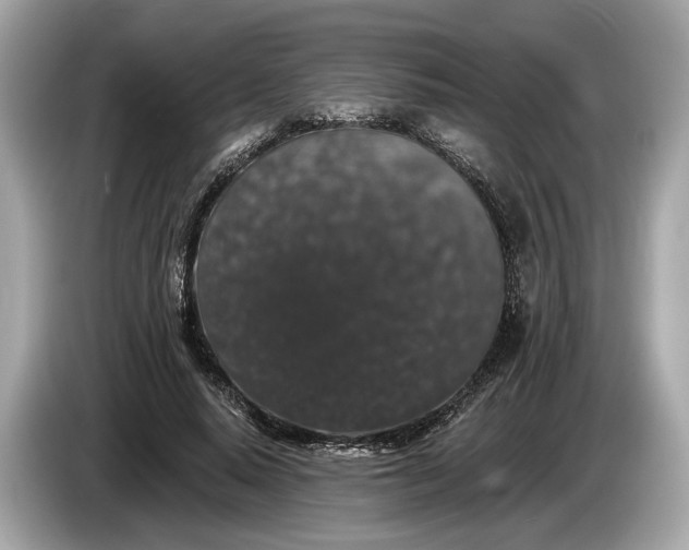 X0000085080640200703191325