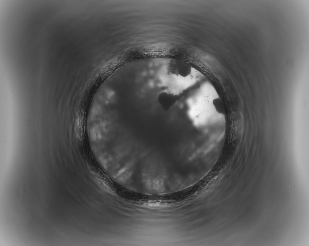 X0000085080641200703191325