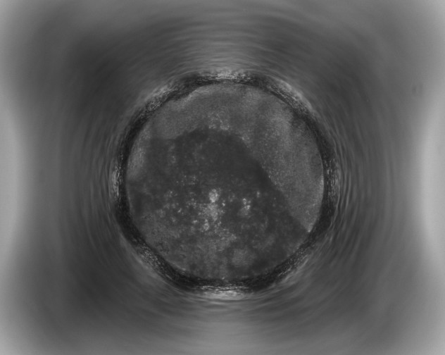 X0000085080643200703191325