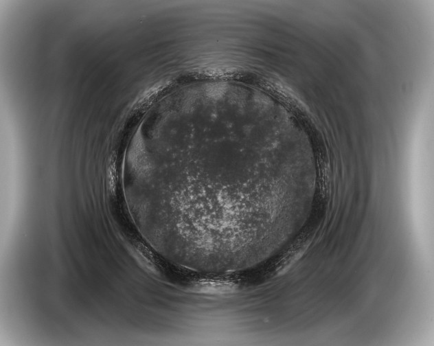 X0000085080644200703191325