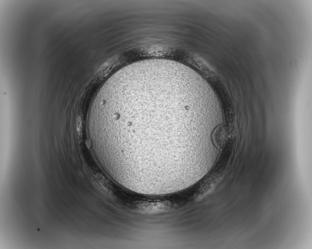 X0000085080646200703191325