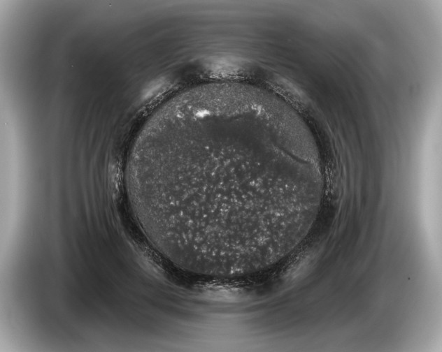 X0000085080648200703191325