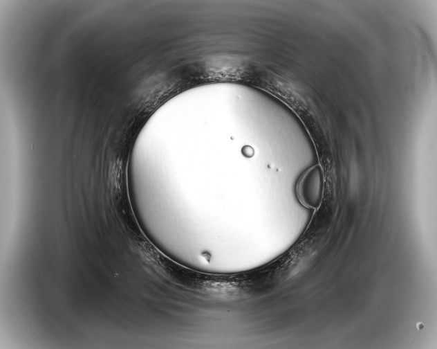 X0000085080649200703191325