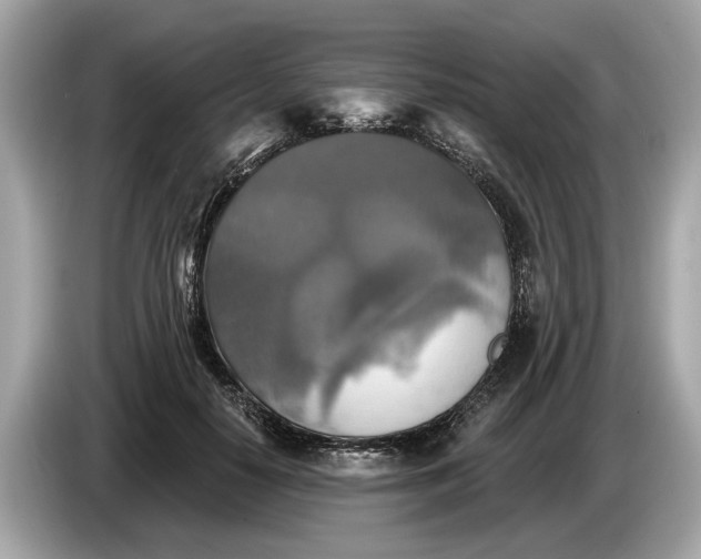 X0000085080650200703191325