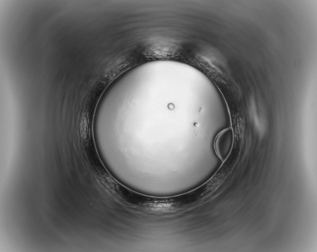 X0000085080651200703191325