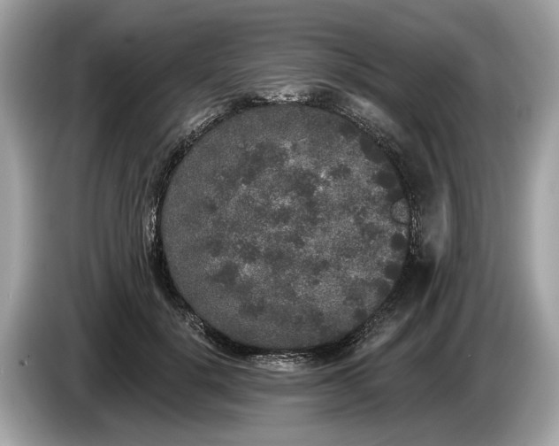 X0000085080652200703191325