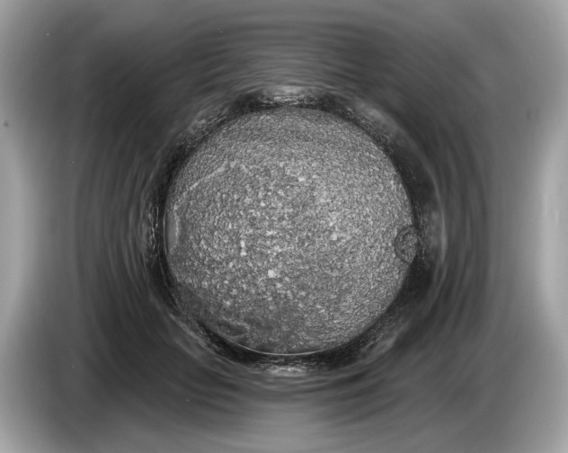 X0000085080653200703191325