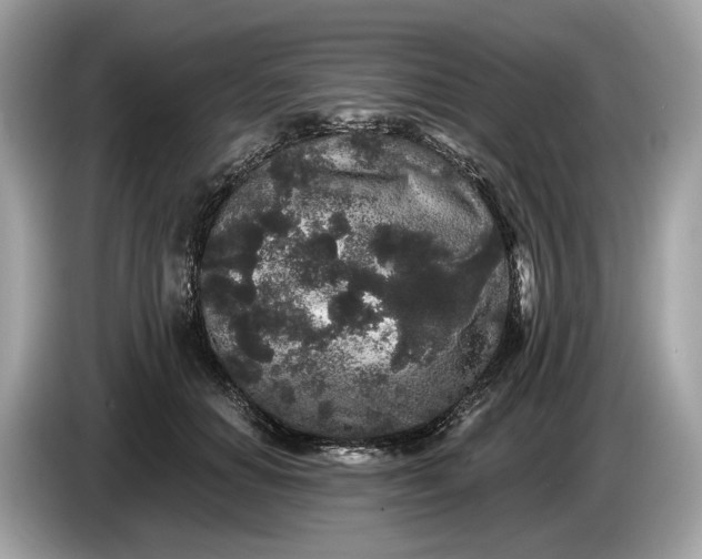 X0000085080654200703191325