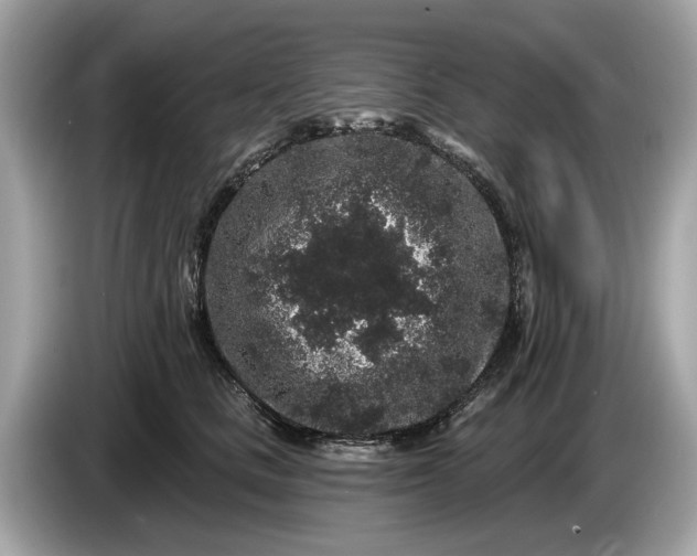 X0000085080661200703191325