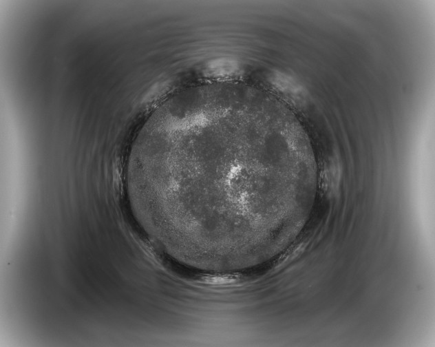 X0000085080662200703191325