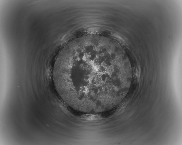 X0000085080663200703191325