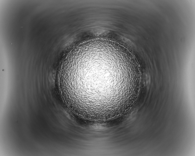 X0000085080664200703191325