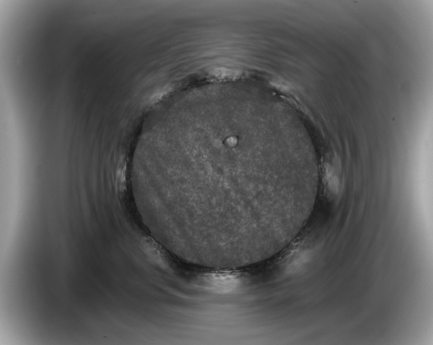 X0000085080668200703191325