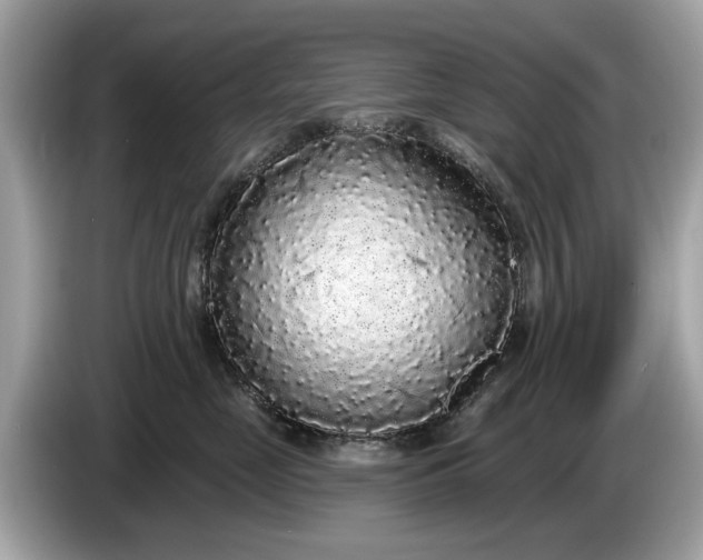 X0000085080669200703191325