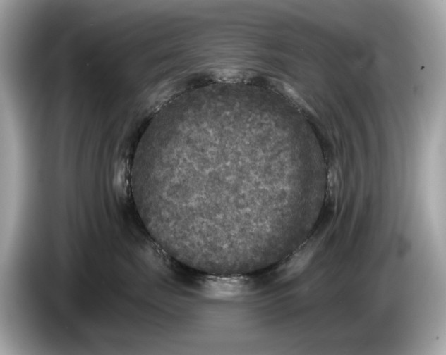 X0000085080671200703191326