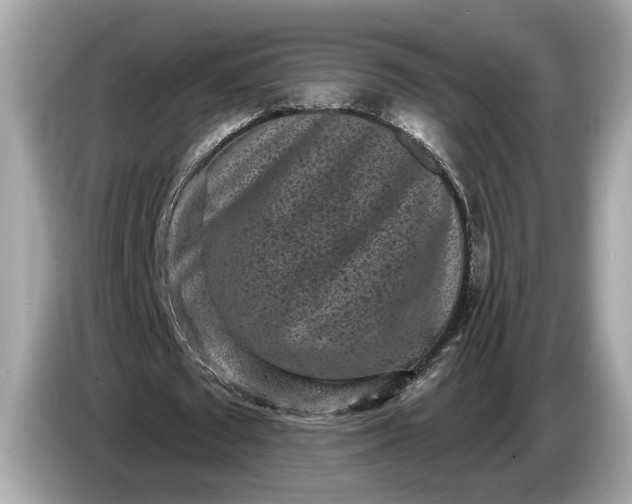 X0000085080673200703191325