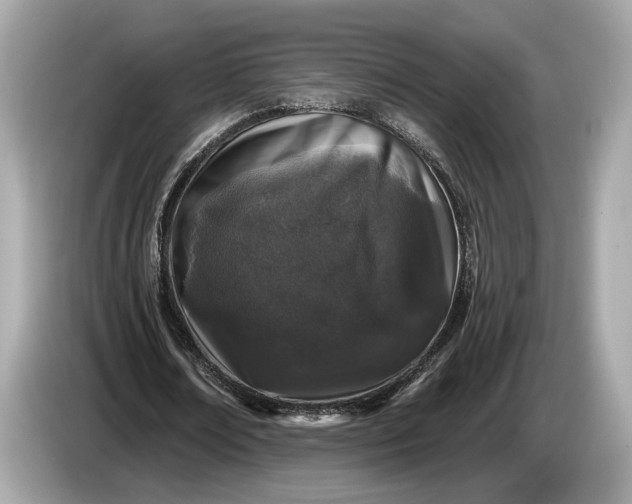 X0000085080674200703191325