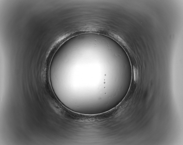 X0000085080675200703191325