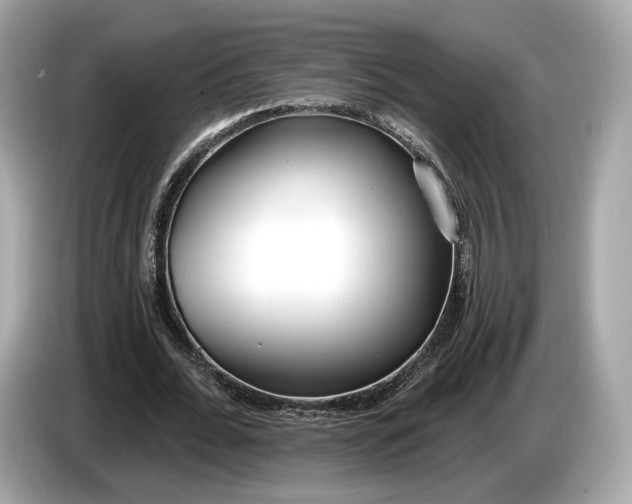 X0000085080676200703191325