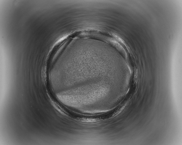 X0000085080677200703191325