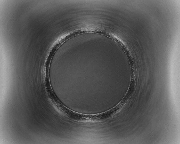 X0000085080678200703191325