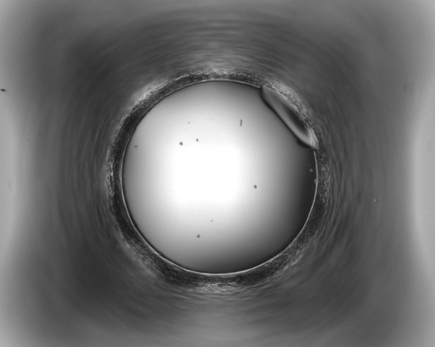 X0000085080680200703191325